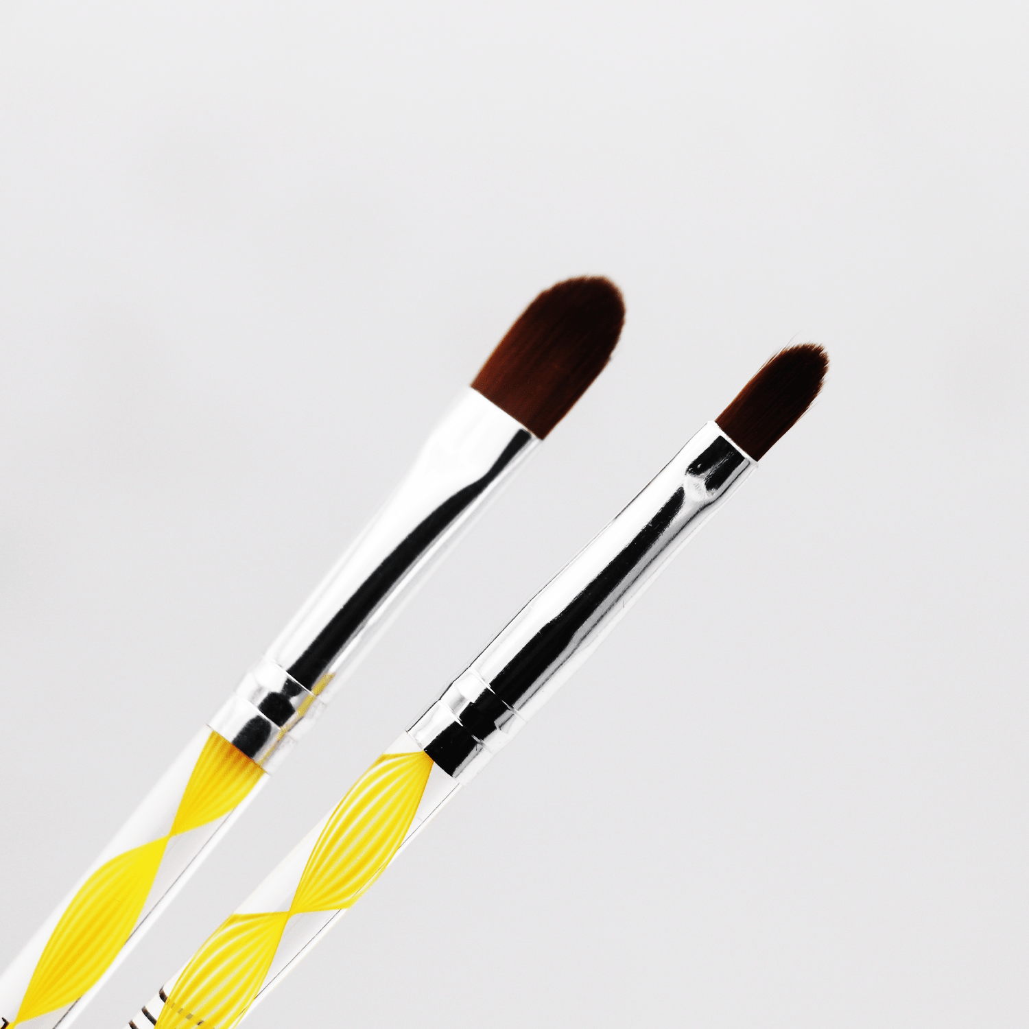 Makeup Brush Set (Set of 5)